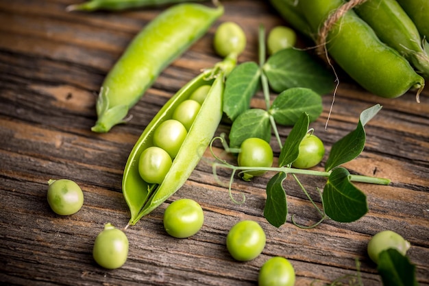 Vagem de ervilha verde fresca