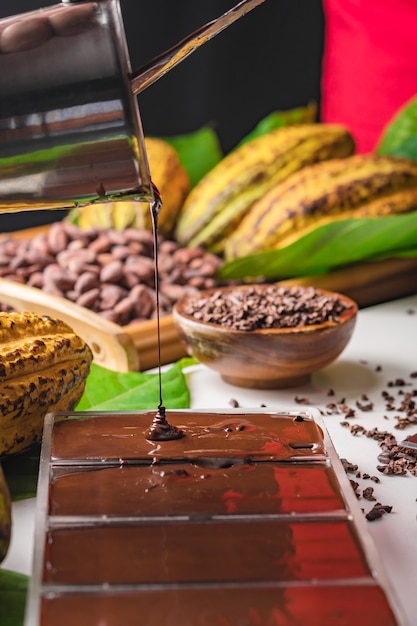 Vagens de cacau, pedaços de barra de chocolate, cacau em pó