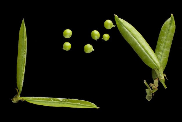 Vagens de ervilha em um fundo preto, ervilhas verdes em uma vagem em um fundo escuro