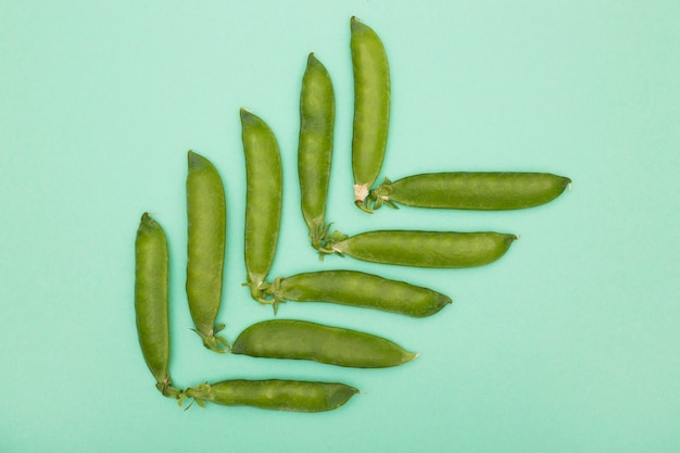 Vagens de ervilha verde em um fundo verde