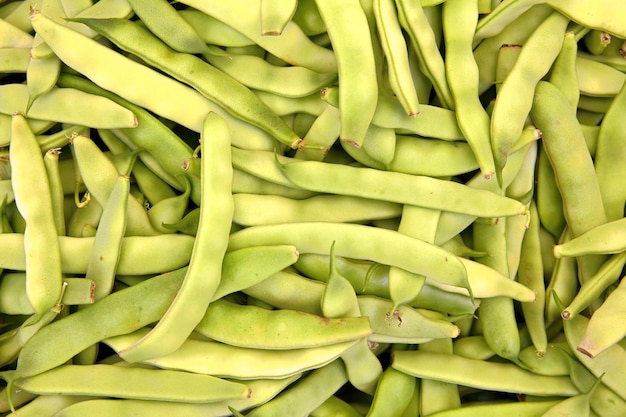 Vagens de feijão verde