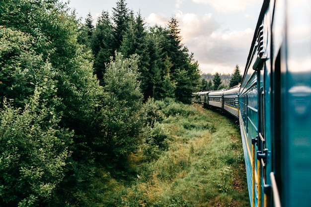 Vagões de trem andando entre a natureza