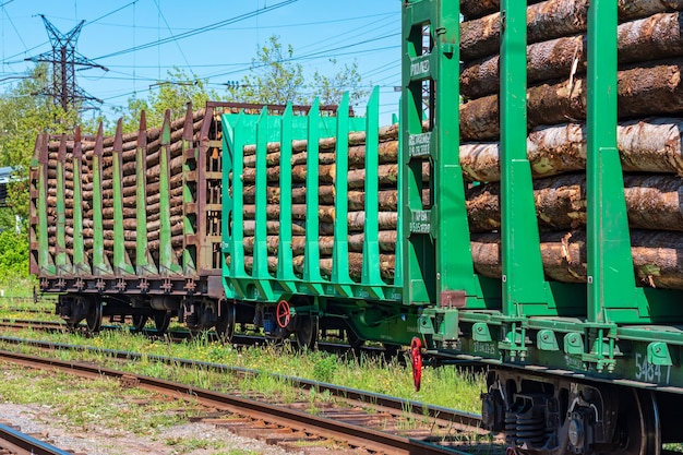 Vagões ferroviários carregados para transporte de logs closeup
