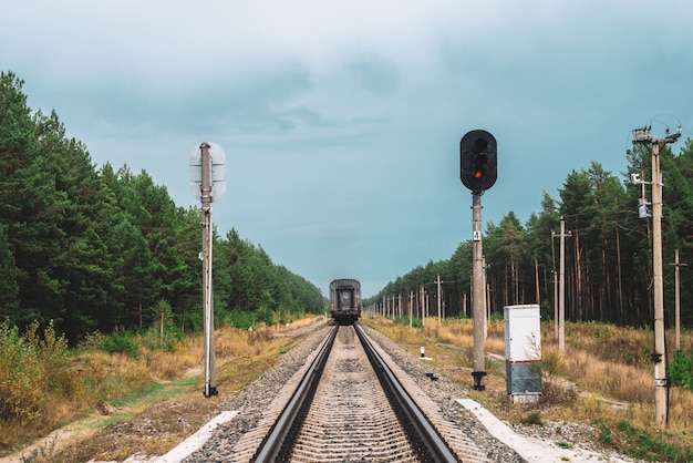 El vagón de ferrocarril pasa por rieles en el bosque. Postes con cables a lo largo de los rieles. Paisaje atmosférico del ferrocarril de la vendimia con el semáforo.