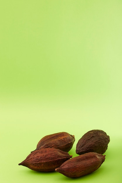 vaina de cacao en fondo verde