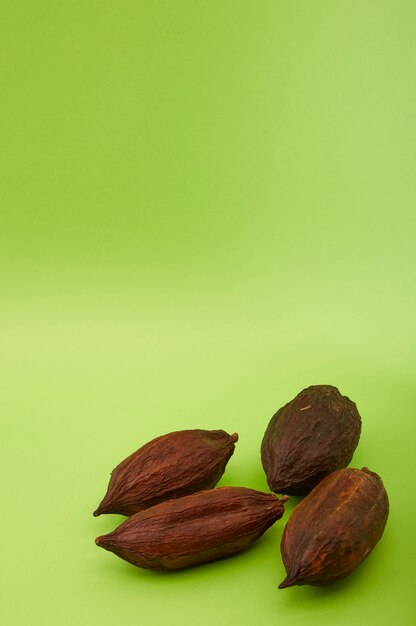 Foto vaina de cacao en fondo verde