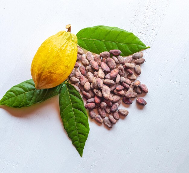 Vainas de cacao frescas maduras y granos de cacao marrones secos con hoja de cacao verde sobre fondo blanco de madera