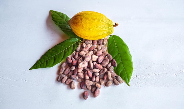 Vainas de cacao frescas maduras y granos de cacao marrones secos con hoja de cacao verde sobre fondo blanco de madera