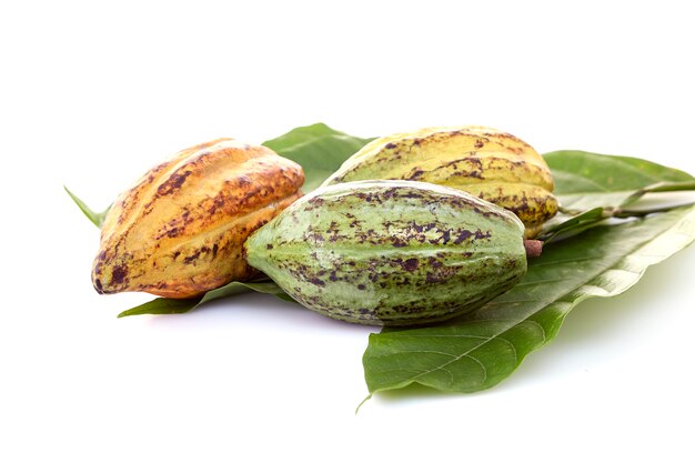 Vainas de cacao con hoja de cacao sobre un blanco.