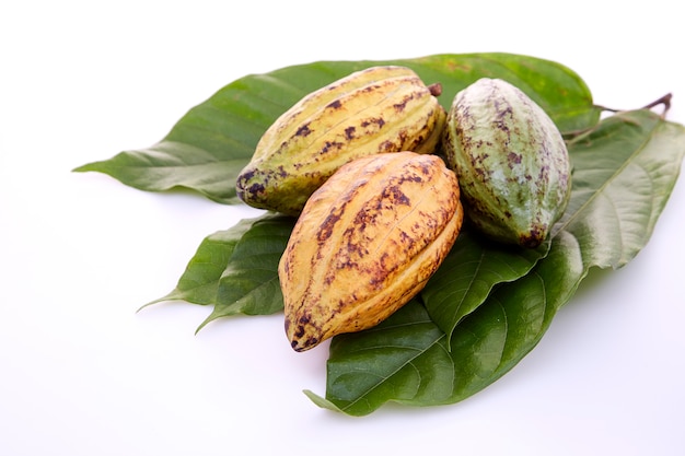 Vainas de cacao con hoja de cacao sobre un blanco.