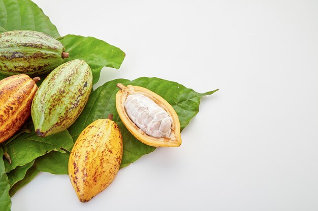 Vainas de cacao con hoja de cacao sobre un blanco.