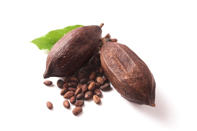 Vainas de cacao con hojas y semillas de cacao