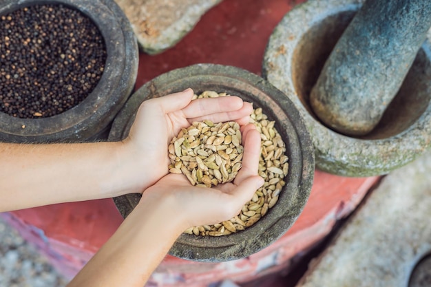 Vainas de cardamomo verde en manos femeninas.