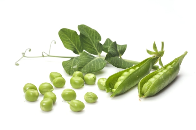 Vainas de guisantes con hojas aisladas sobre fondo blanco.