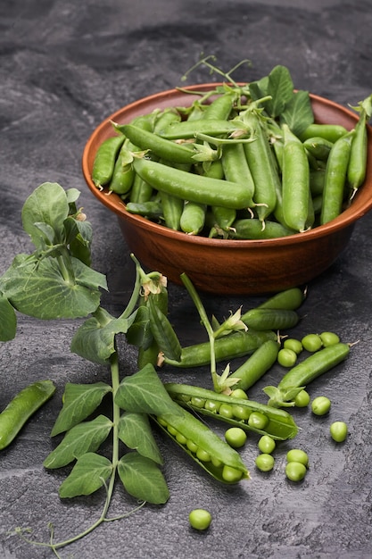 Vainas de guisantes con hojas en un tazón sobre fondo gris loft