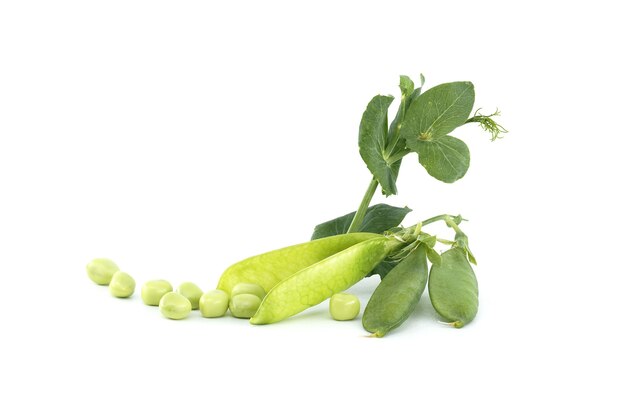 Vainas de guisantes con hojas verdes aisladas en blanco