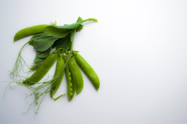 Vainas de guisantes verdes frescas con follaje sobre un fondo blanco, una vaina está abierta, los guisantes son visibles