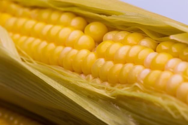 Vainas de maíz amarillas preparadas en un contexto blanco.