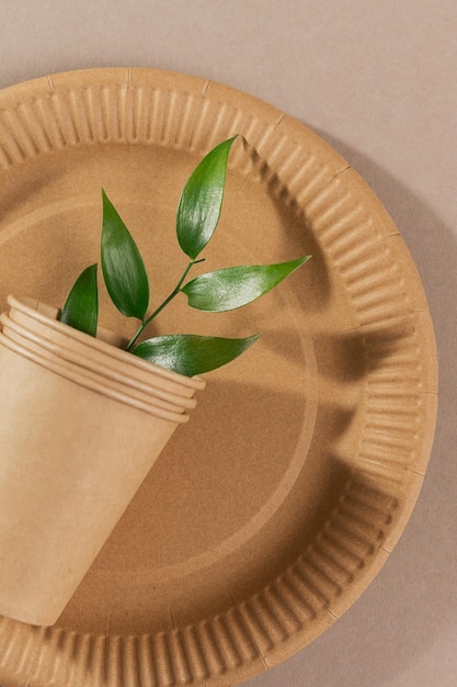 Foto vajilla desechable de materiales naturales plato biodegradable vaso compostable