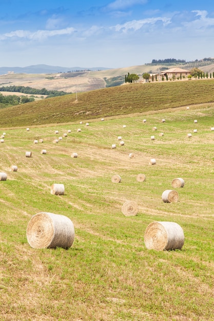 Foto val d'orcia, región de toscana, italia. un paisaje típico.