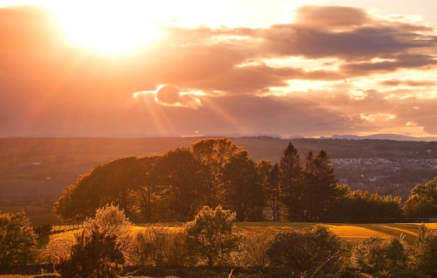 Vale com árvores de outono entre as montanhas iluminadas pelo sol ao pôr do sol em cores pastel amarelas