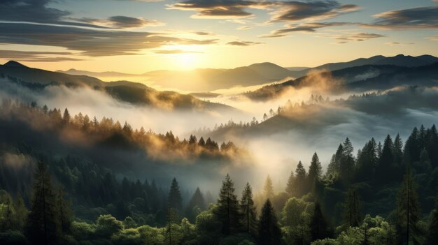 Vale da Floresta Etérea Capturando a Essência da Natureza em Luz Dourada