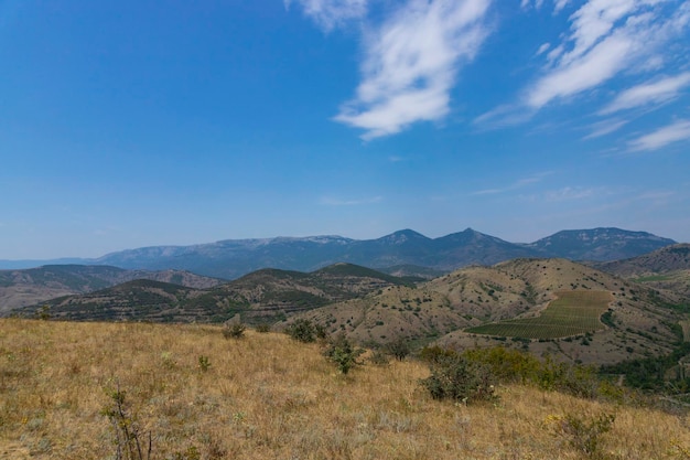 Vale da montanha europeia com fileiras de vinhas verdes na vinha. Vista de cima. Foto de alta qualidade