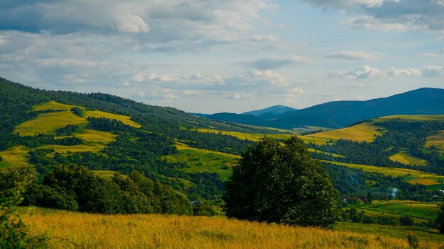 Vale da montanha. Paisagem natural de verão. Fundo do banner horizontal. Copie o fundo do espaço.