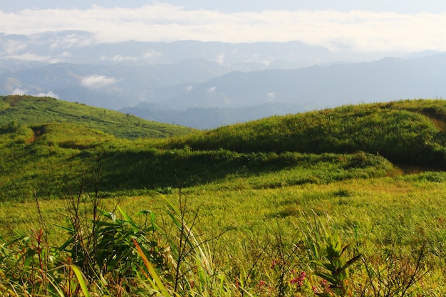 Vale da montanha verde e nevoeiro na Tailândia