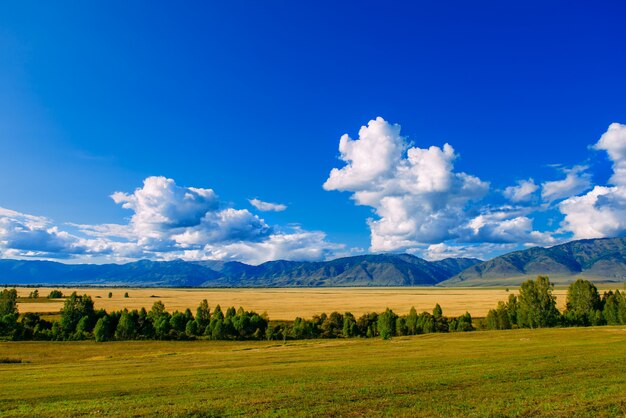 Foto vale da montanha