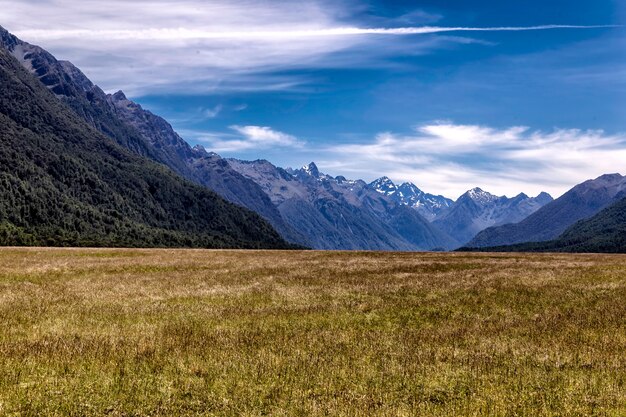 Vale de eglington no parque nacional fiordland, nova zelândia