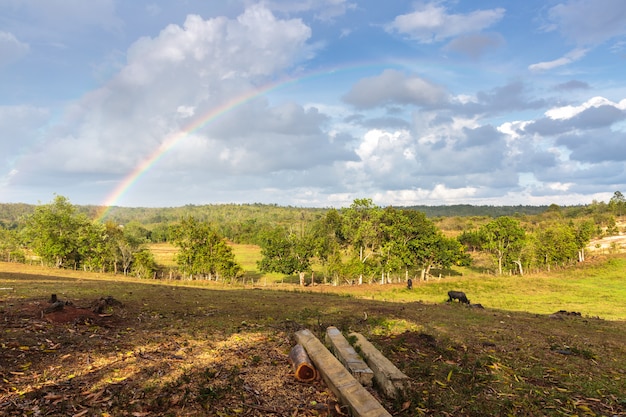 Vale de Vinales