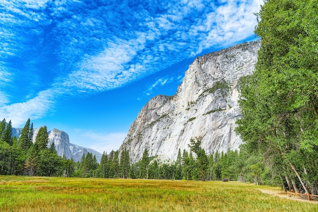 Vale de Yosemite. Magnífico parque natural americano - Yosemite. Califórnia. EUA.