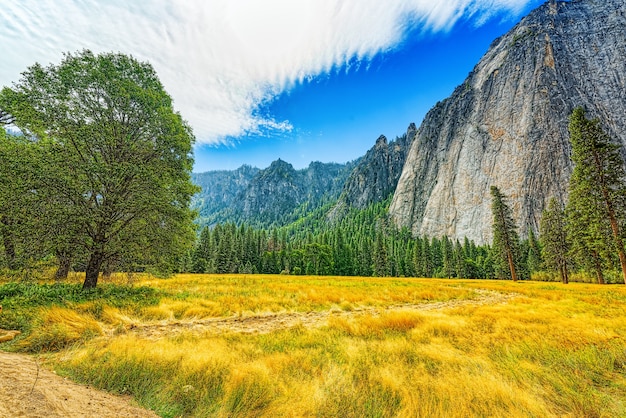 Vale de Yosemite. Magnífico parque natural americano - Yosemite. Califórnia. EUA.