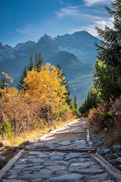 Vale deslumbrante na montanha Tatra no outono ao pôr do sol