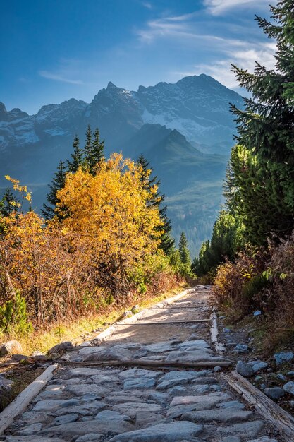 Vale deslumbrante na montanha Tatra no outono ao pôr do sol