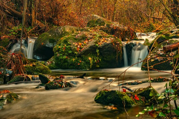 Vale do rio alcazar em jerez del marquesado granada