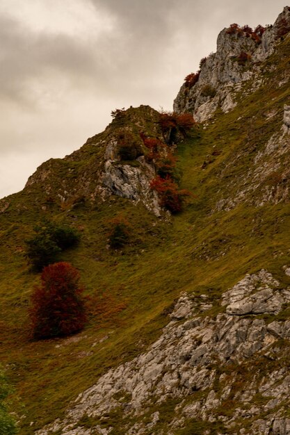 Vale do rio duje em tielve nos picos de europa - astúrias