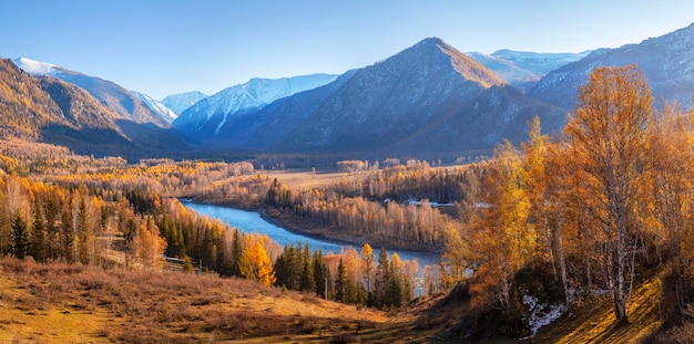 Vale do rio Katun nas montanhas Altai Vista pitoresca de outono verão indiano