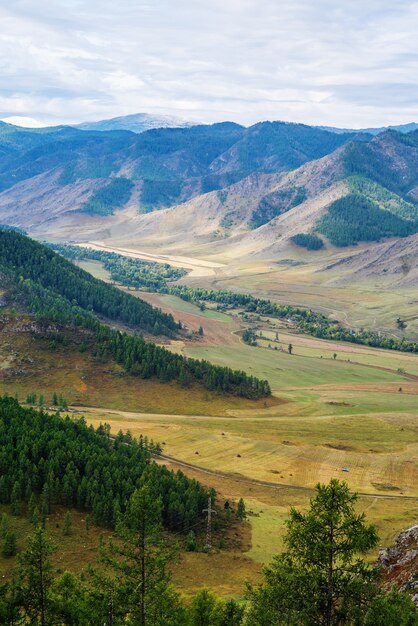 vale do rio maly ilgumen pico coberto de neve do monte akkem no horizonte montanha altai rússia