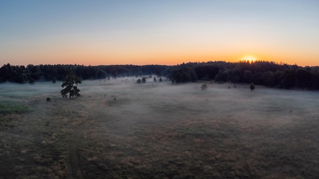 Vale na zona rural com neblina matinal. paisagem brilhante do sol nascente com um prado enevoado em primeiro plano