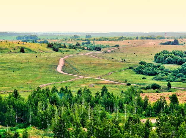 Vale verde de verão com fundo de paisagem de estradas rurais