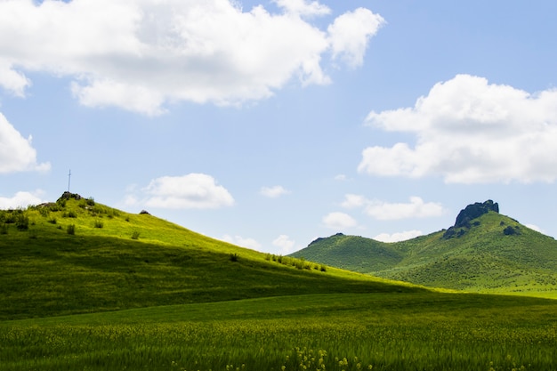 Foto vale verde e campo, paisagem de primavera na geórgia