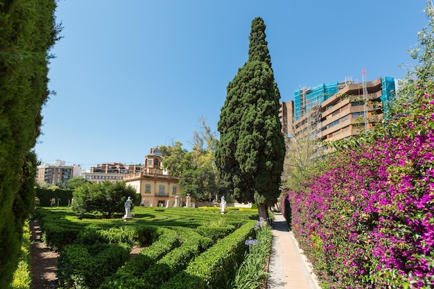 VALENCIA ESPANHA 19 de junho de 2015 Fragmentos dos Jardins de Monforte no conceito de cenário do Parque de Espanha de Valência