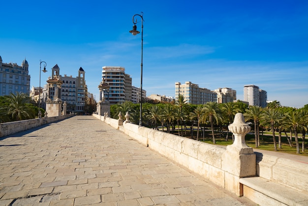 Valencia puente pont del mar puente españa