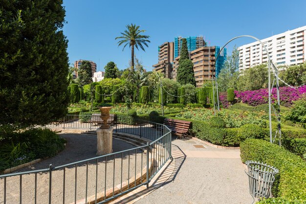 VALENCIA SPANIEN 19. Juni 2015 Fragmente der Monforte-Gärten in Valencia Spanien Parklandschaftskonzept