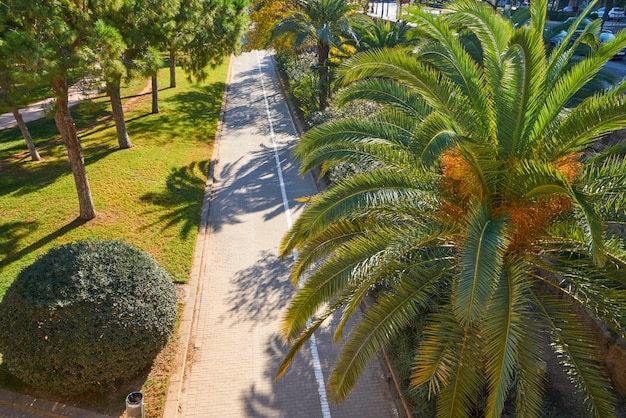 Valencia Turia park gardens view em Espanha