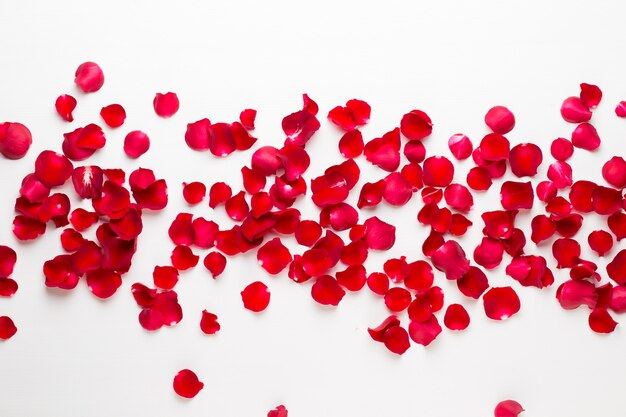 Valentinstag-Konzept mit Rosenblütenblättern