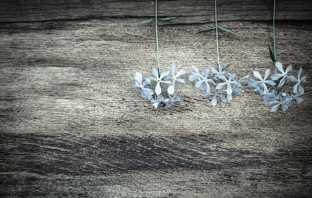 Valentinstagblumen auf Holz