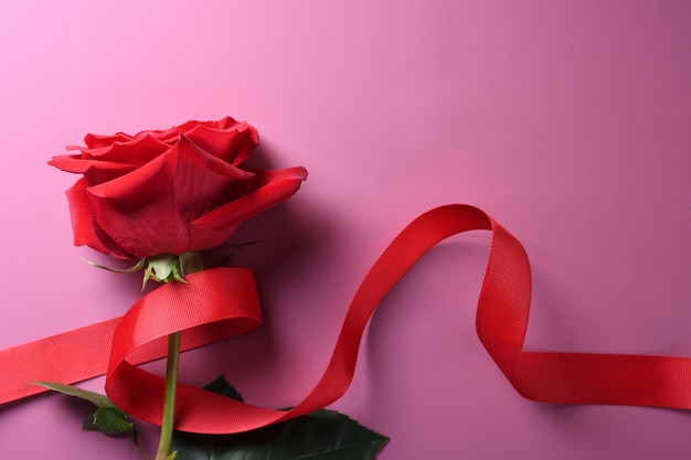 Valentinstaghintergrundgrußkarten-Liebessymbole, rote Dekoration mit Rosen auf rosa Hintergrund. Draufsicht mit Kopienraum und -text Flache Lage